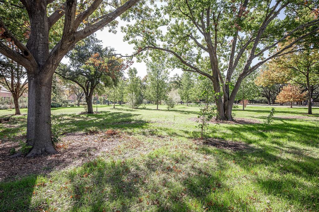 a view of a grassy field with trees