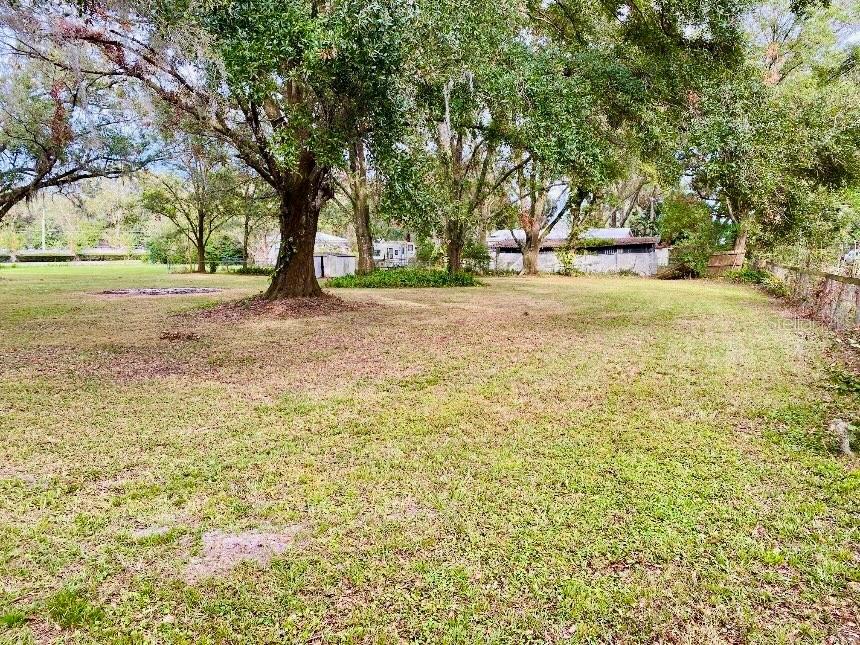 a view of yard with trees