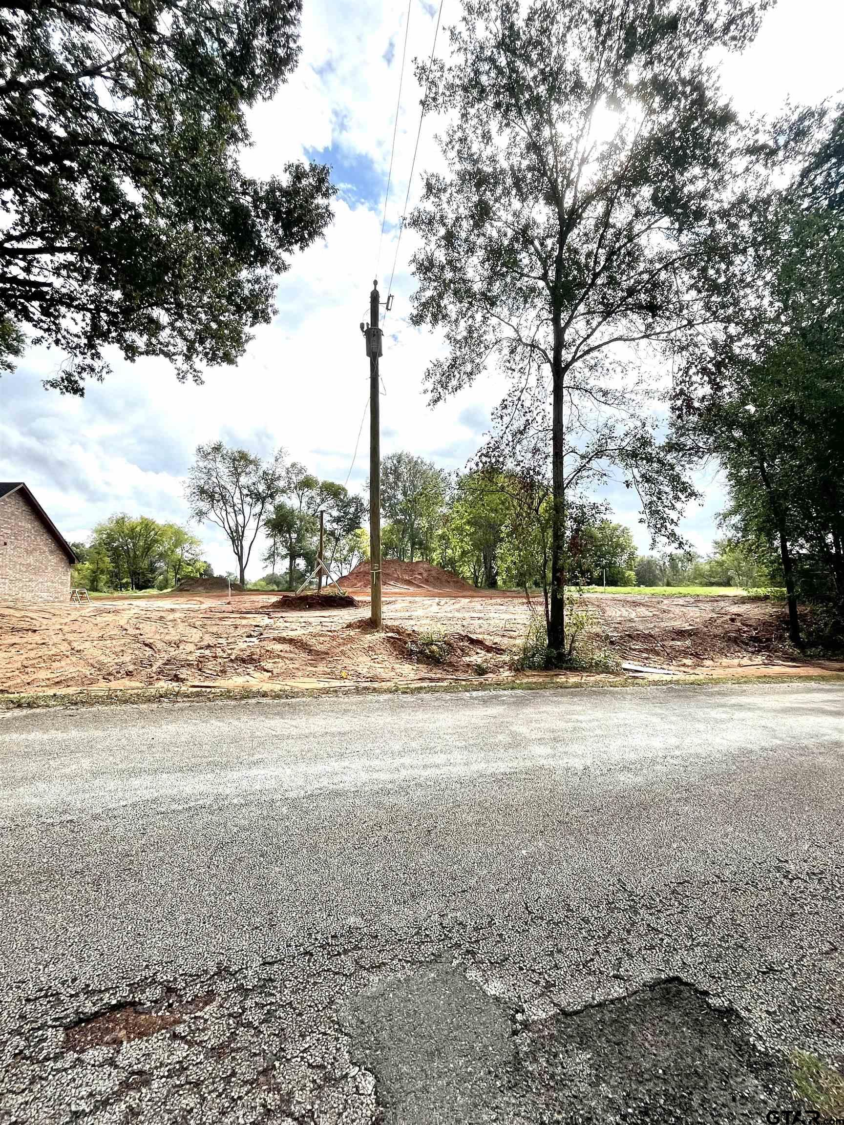 a view of road with yard