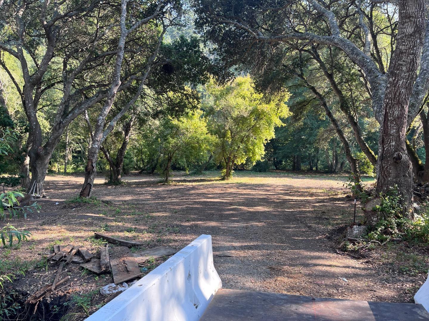 a view of a yard with an tree