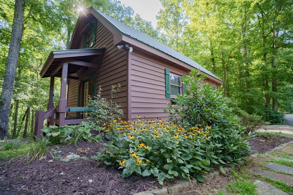 a backyard of a house with plants and large tree