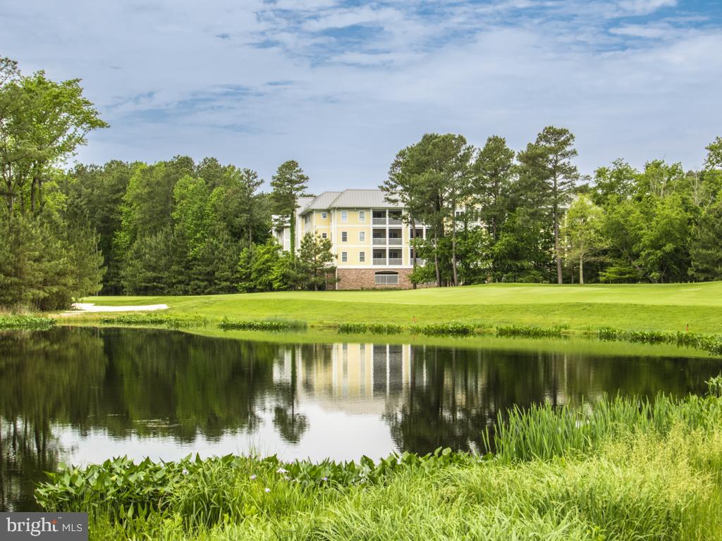 a view of a lake with a building in the background