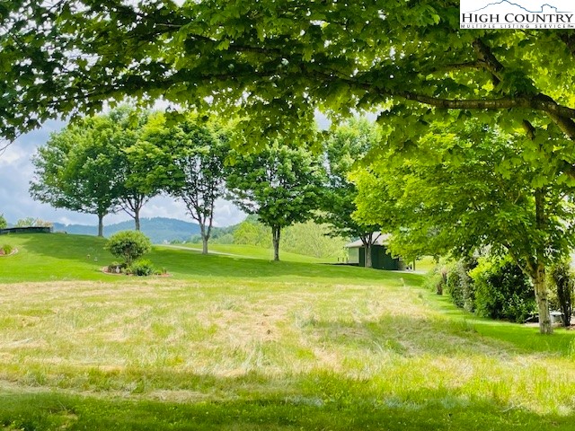 a grassy field with some trees in the background