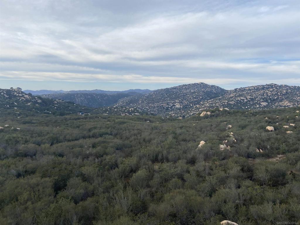 an aerial view of houses covered in trees