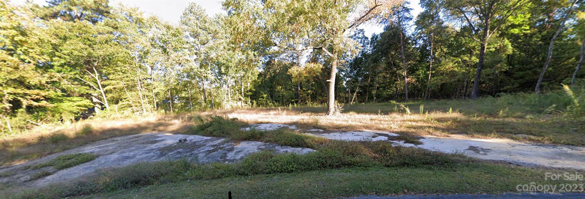 a view of backyard with green space