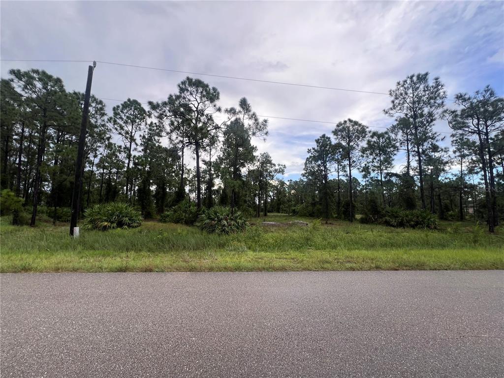 a view of a field and trees