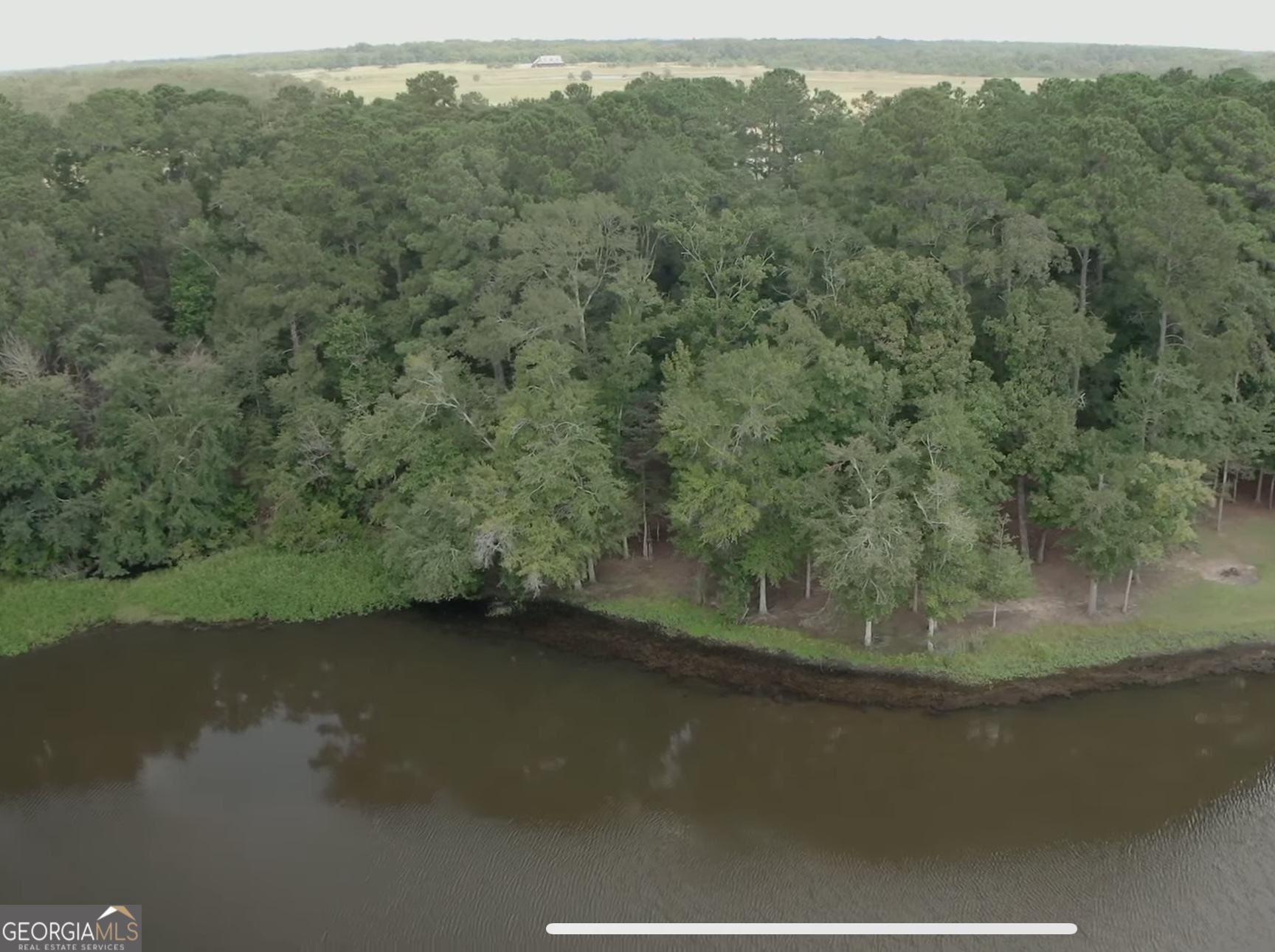 a view of a forest with a lake view