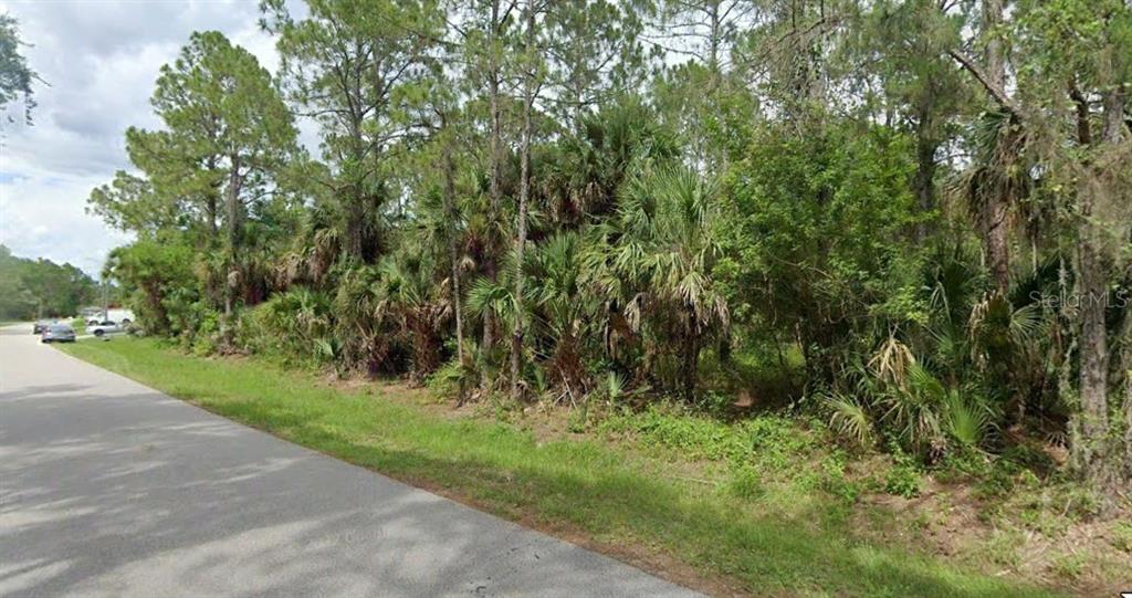 a view of a yard with plants and a trees