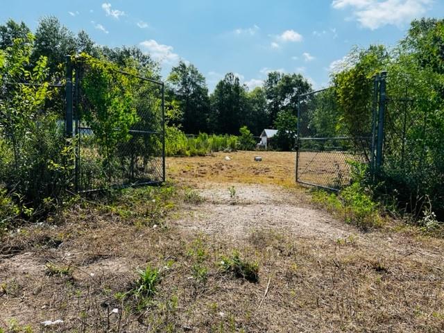 a view of a dry yard with trees