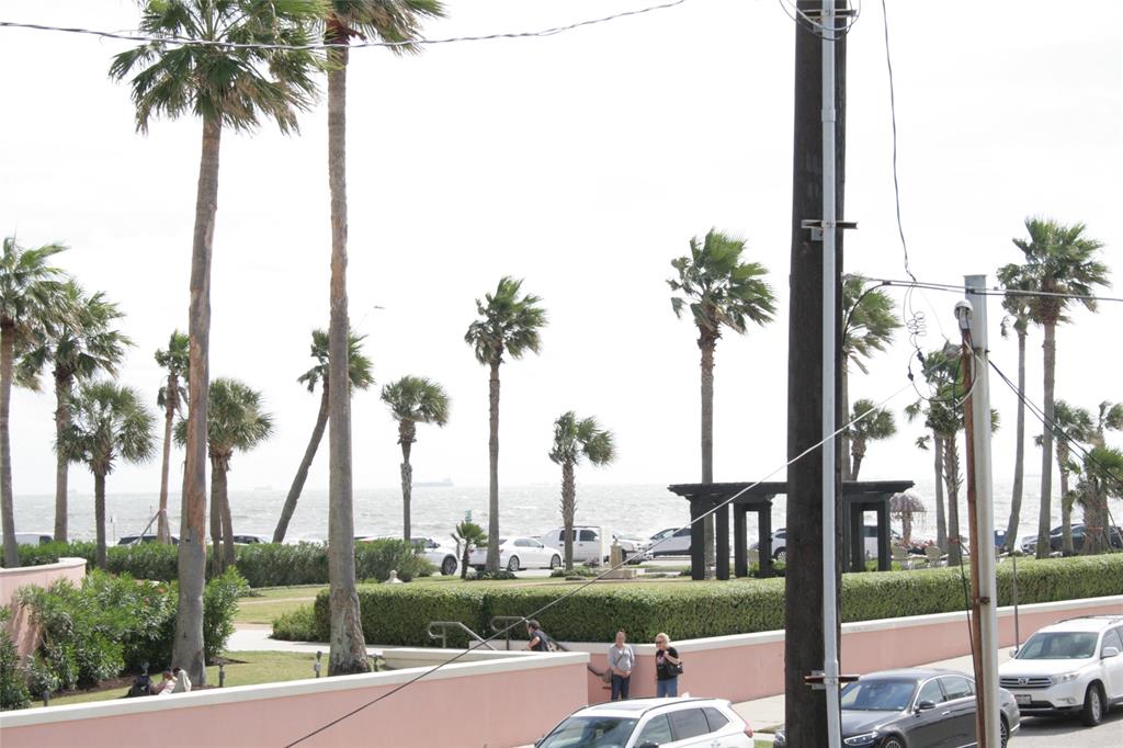 a view of palm trees and sign board with palm trees