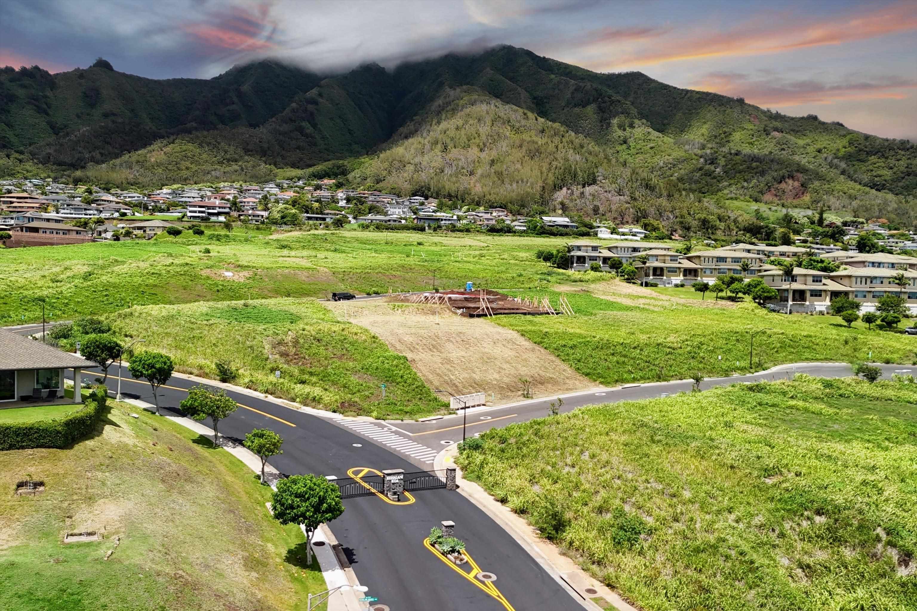 a view of a lush green hillside