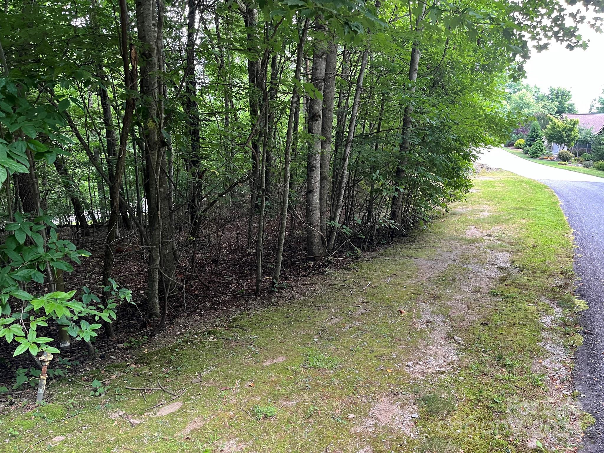 a view of a yard with trees