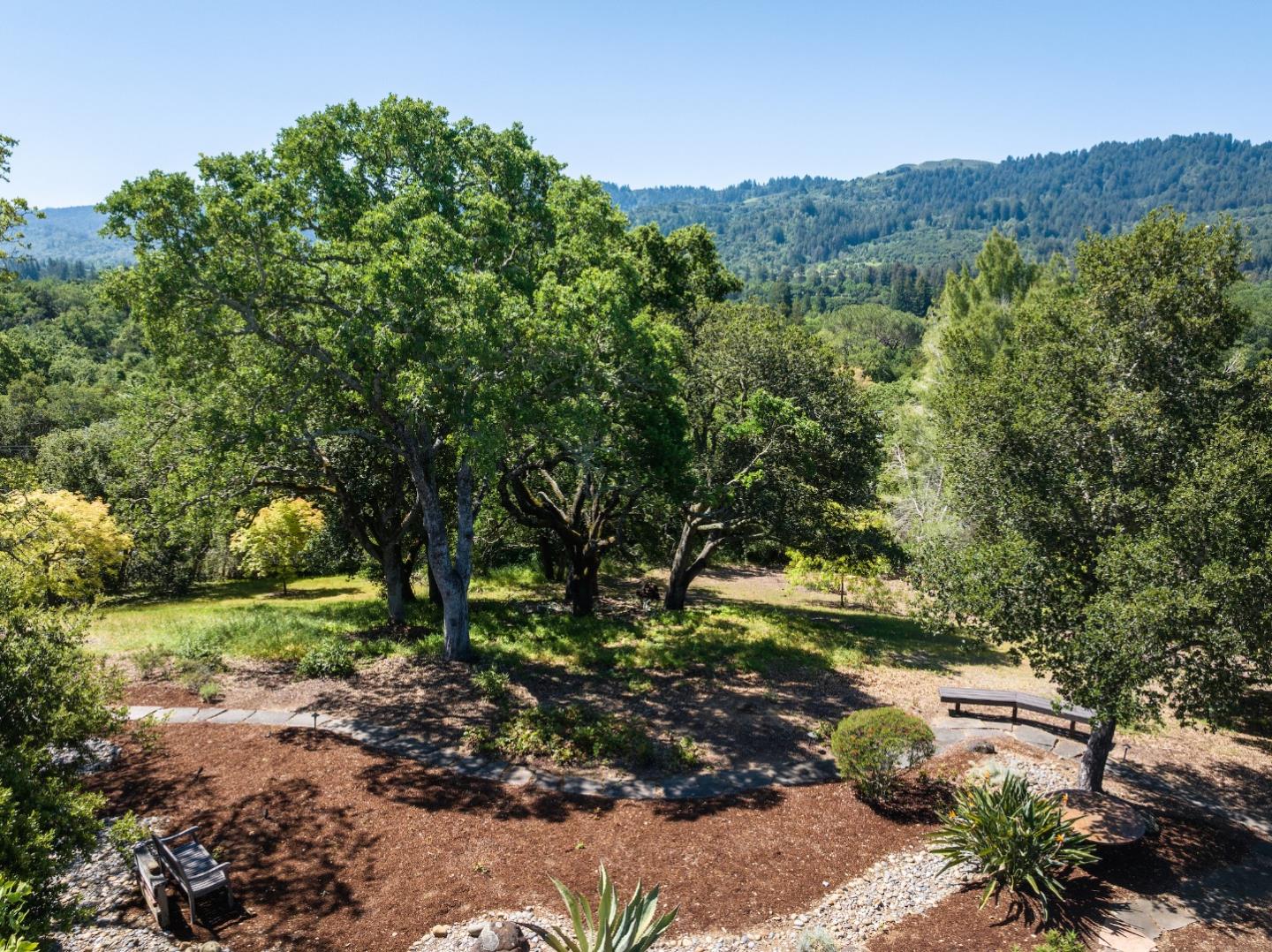 a view of a lush green space