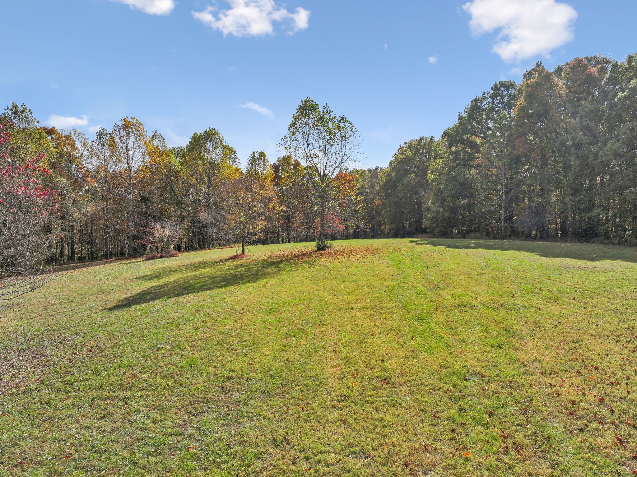 a view of an outdoor space and a yard