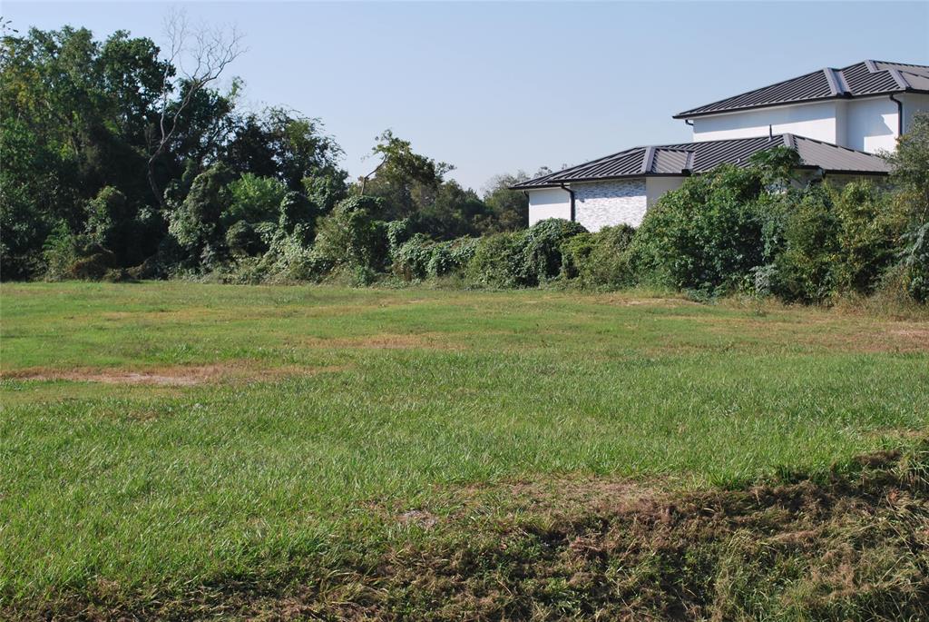 a big yard with lots of green space and plants