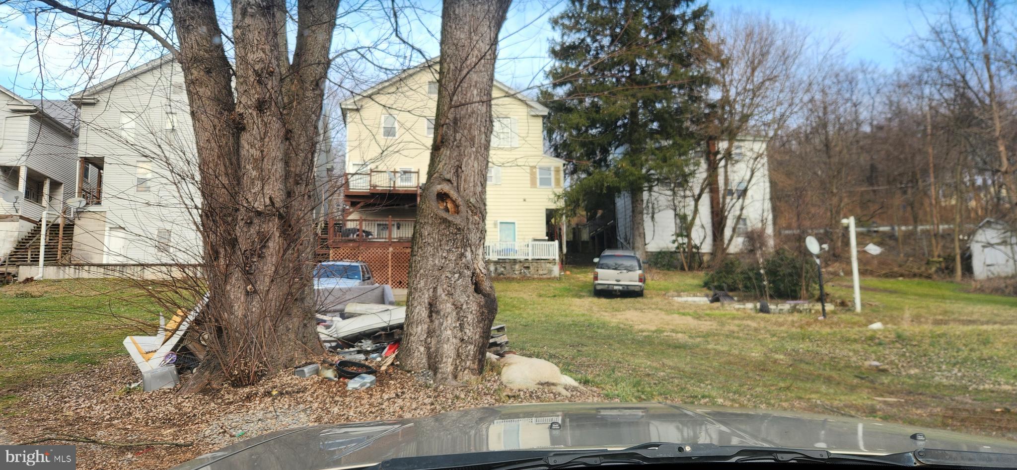 a view of a garden with a tree