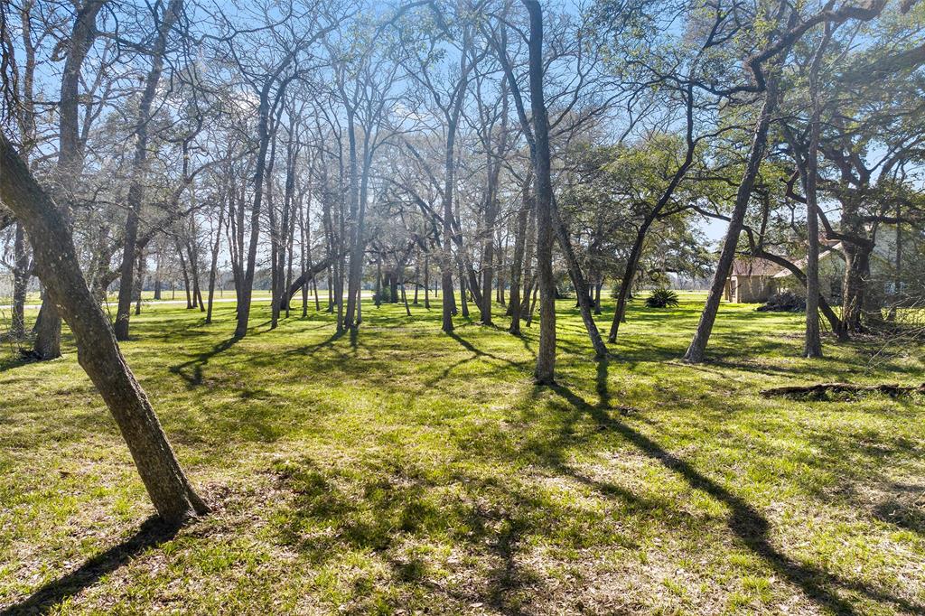 a view of yard with trees