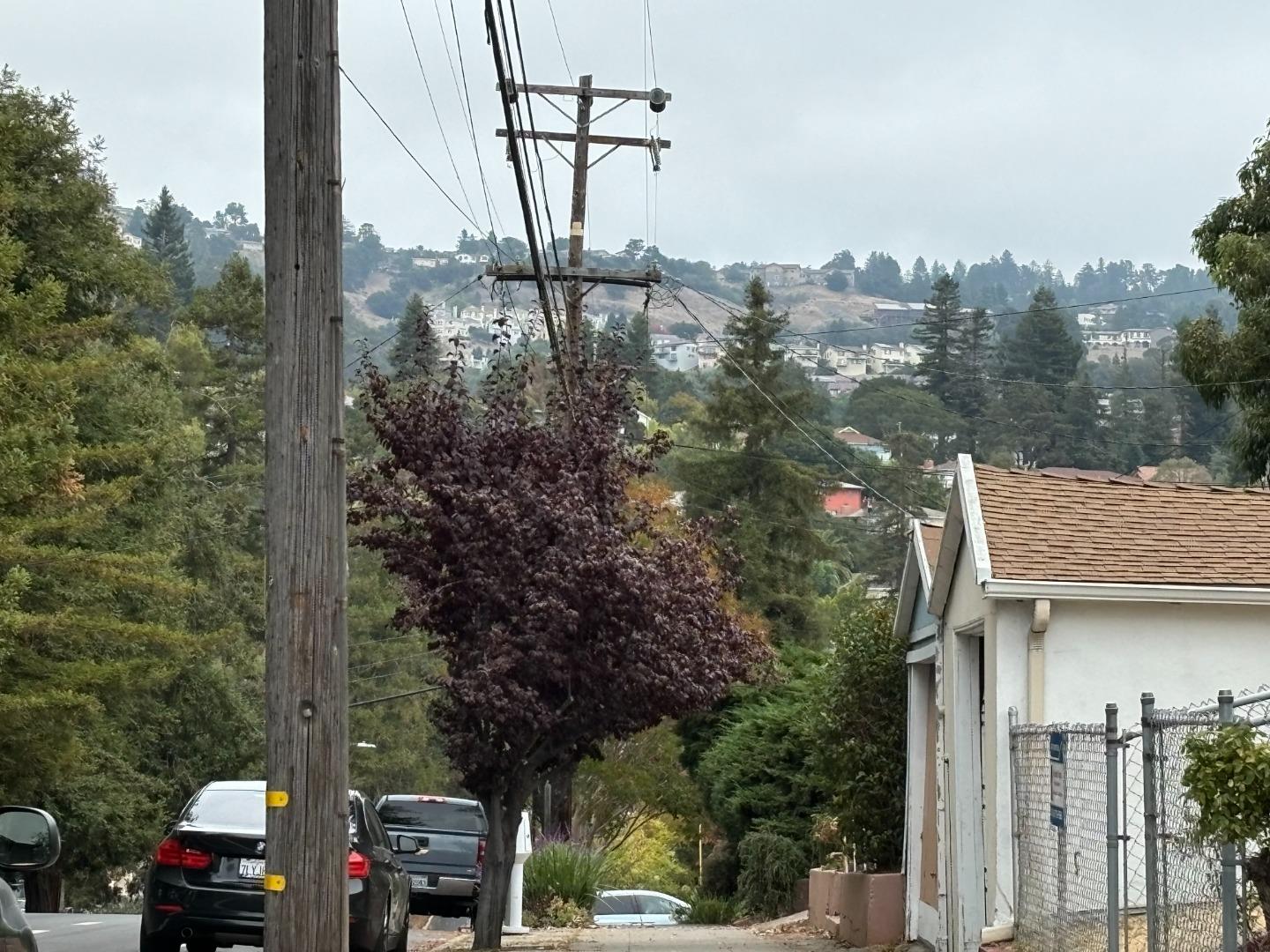 a view of a city that has tall trees