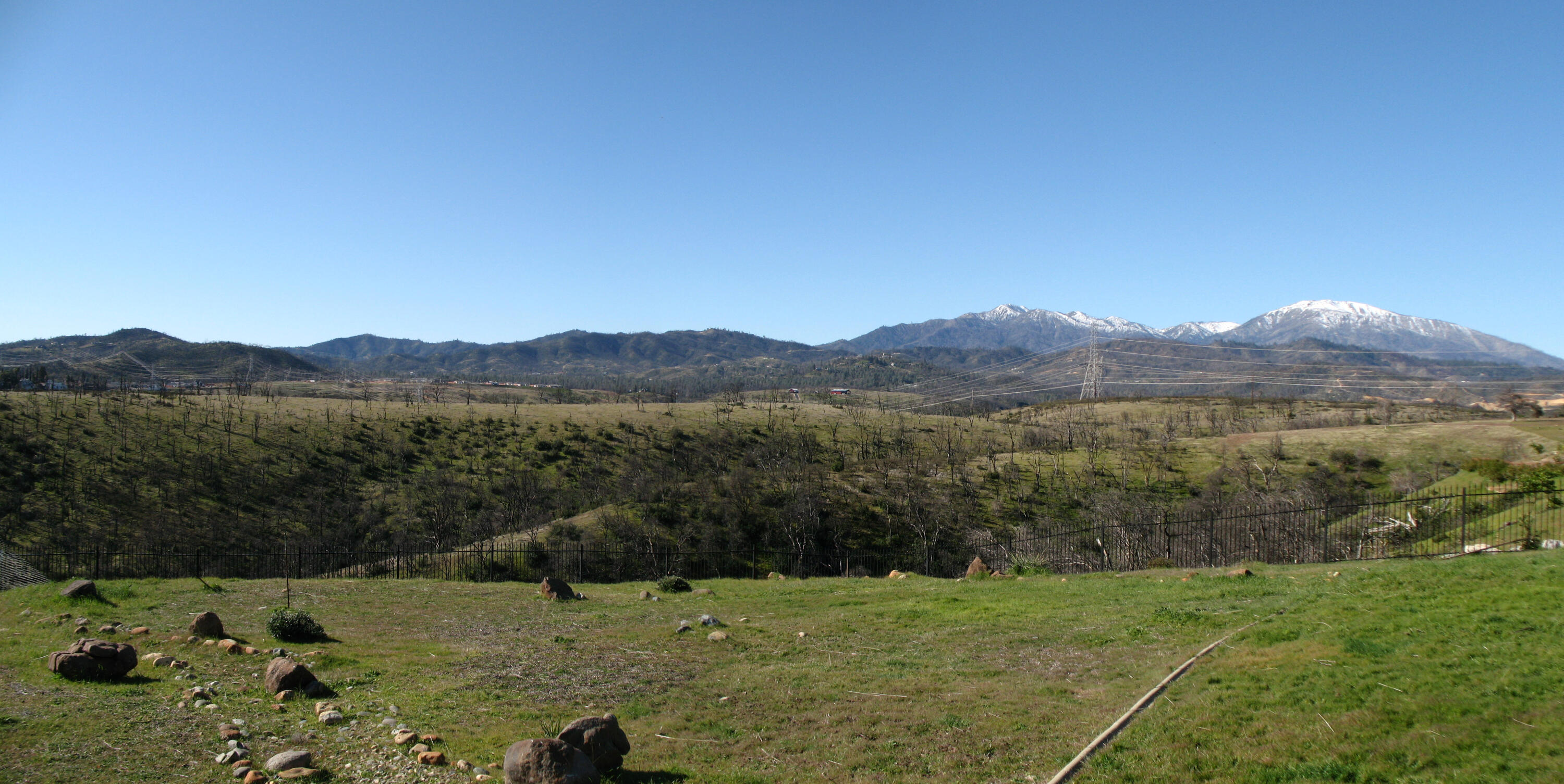 a view of a lush green field with mountains in the background