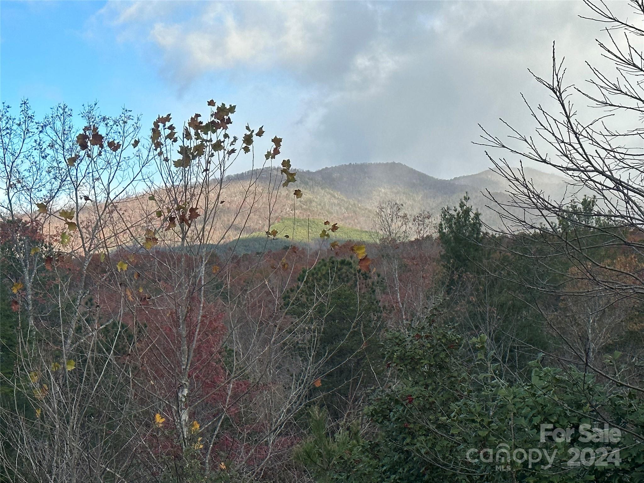 a view of a yard in a cloudy sky