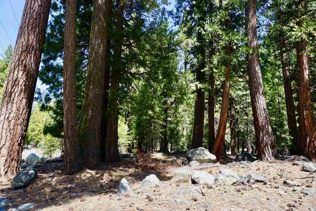 $89,900 | 59 Yonkalla Trail | Graeagle