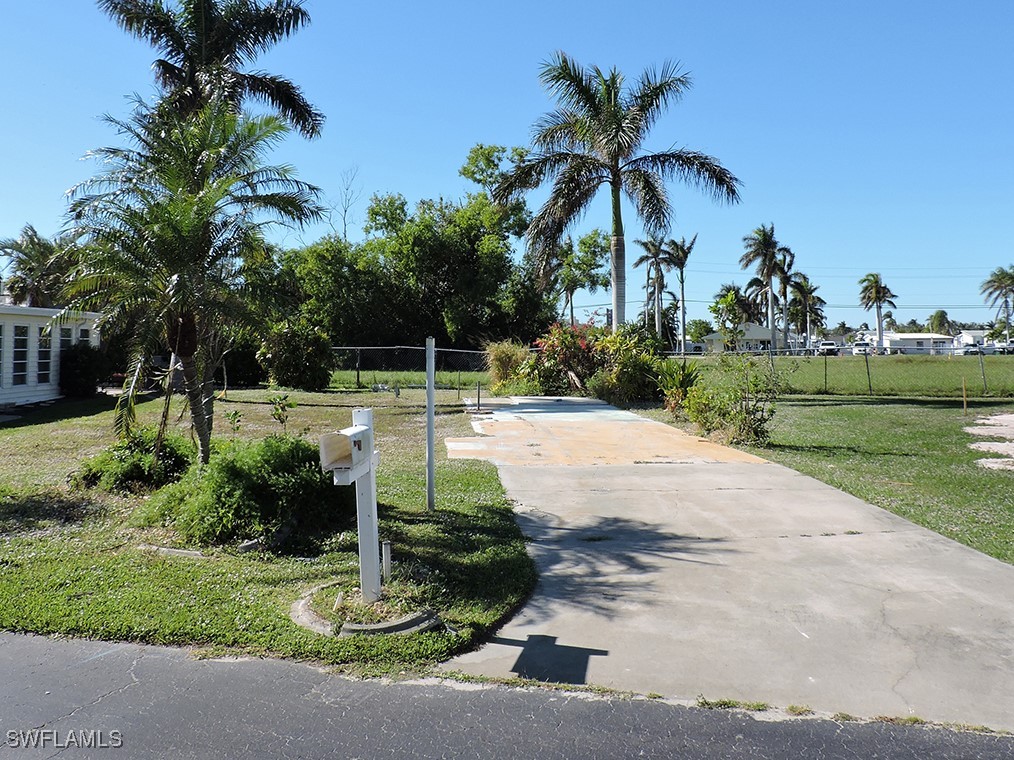 a view of a park with palm trees