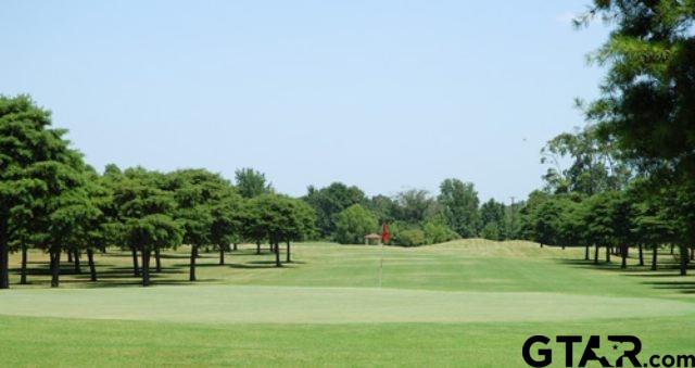 a grassy field with trees in the background