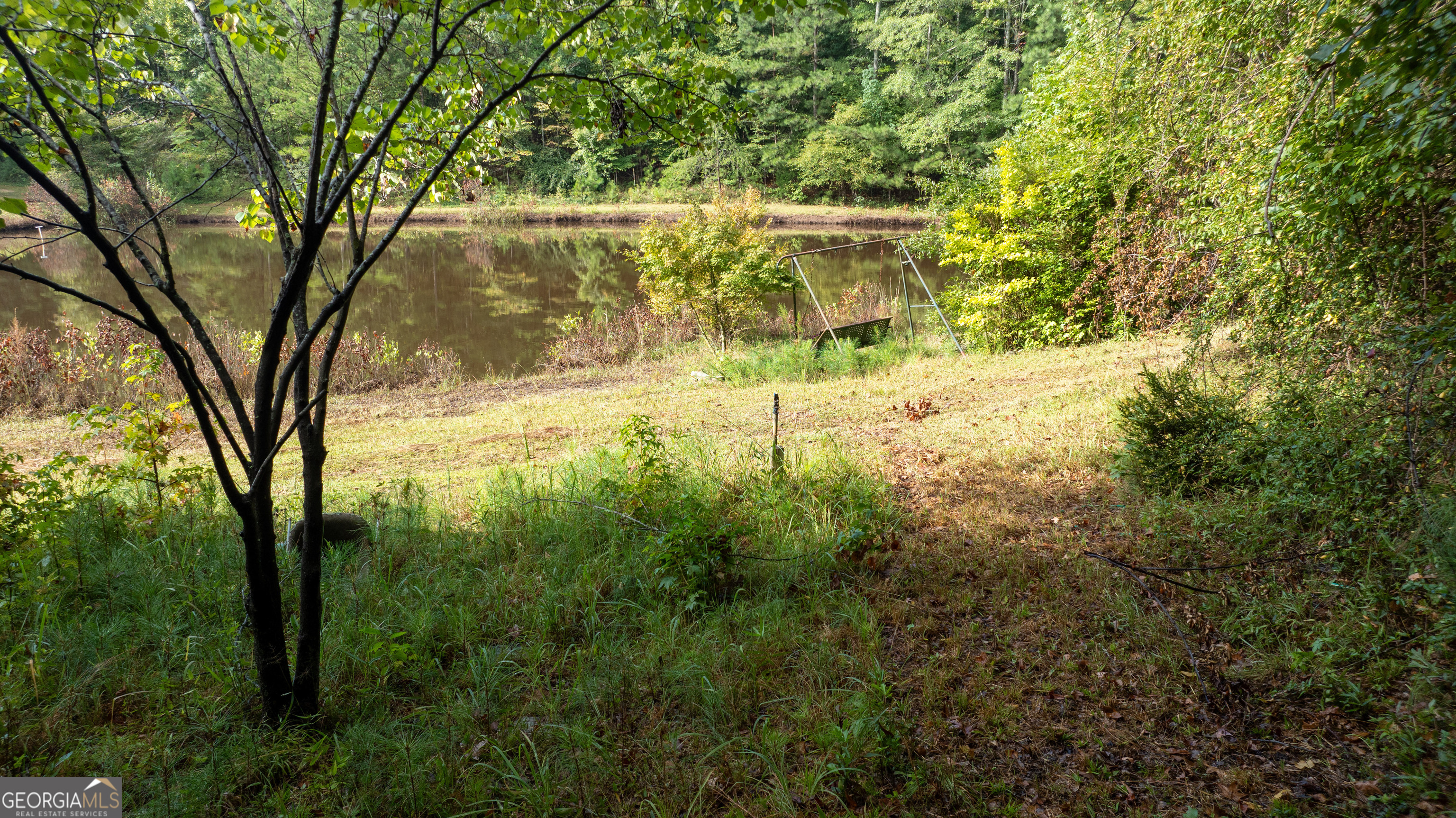 a view of yard with green space