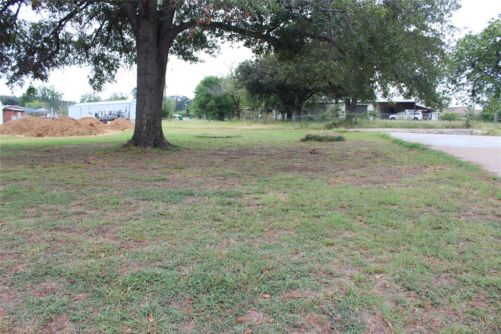 a view of a field with a tree