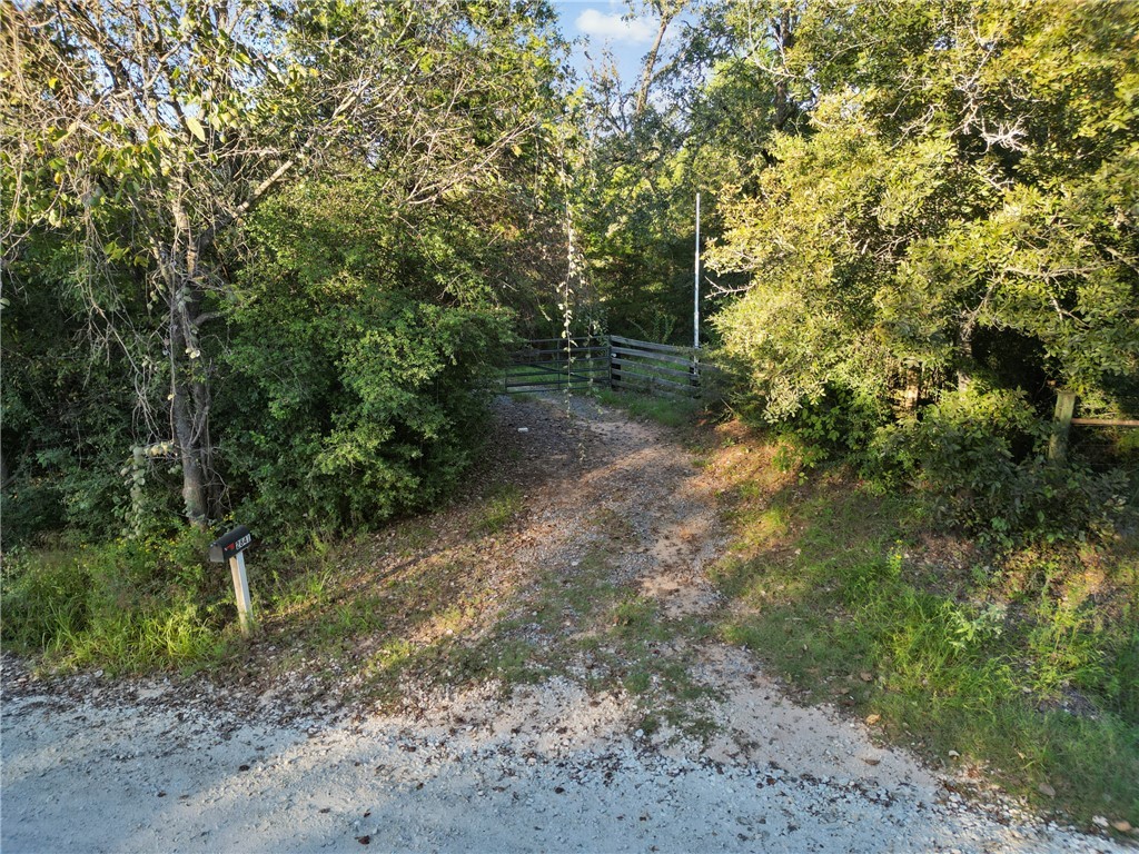 a view of a forest with trees in front of it