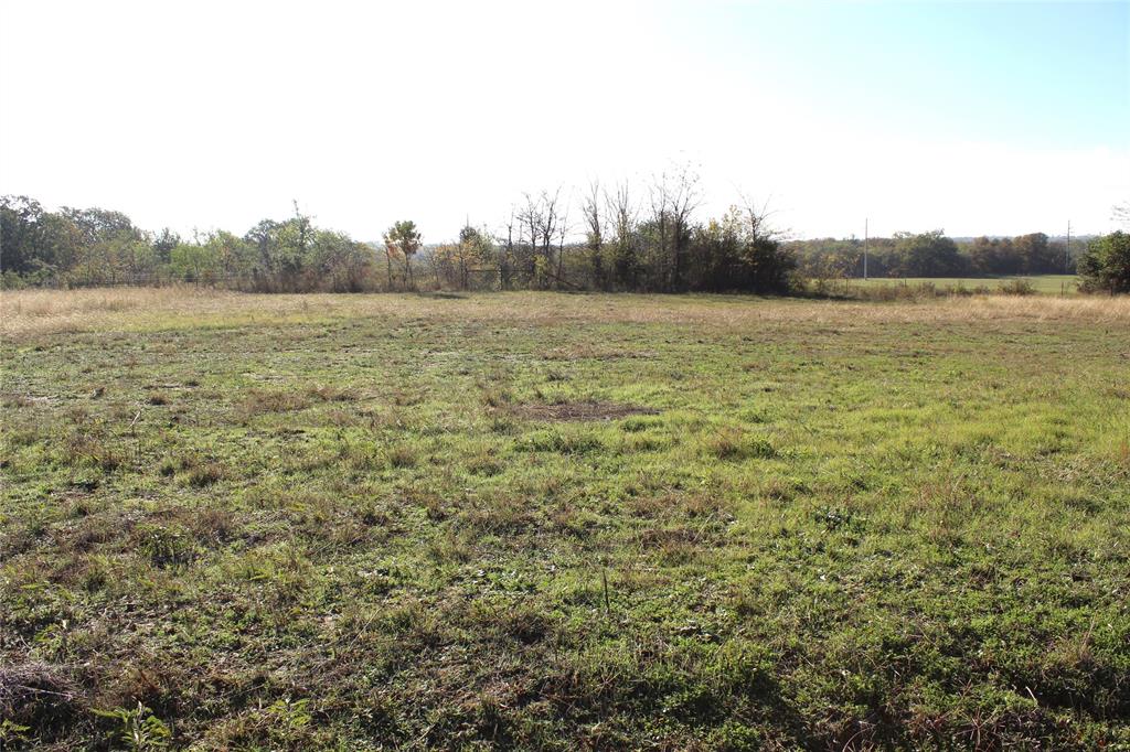 a view of a field with trees in background