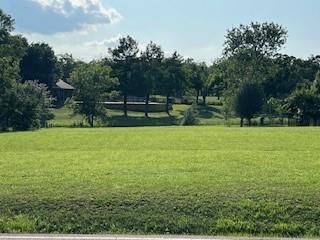 a view of a garden with trees