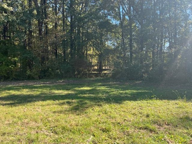 a view of a yard with a large tree