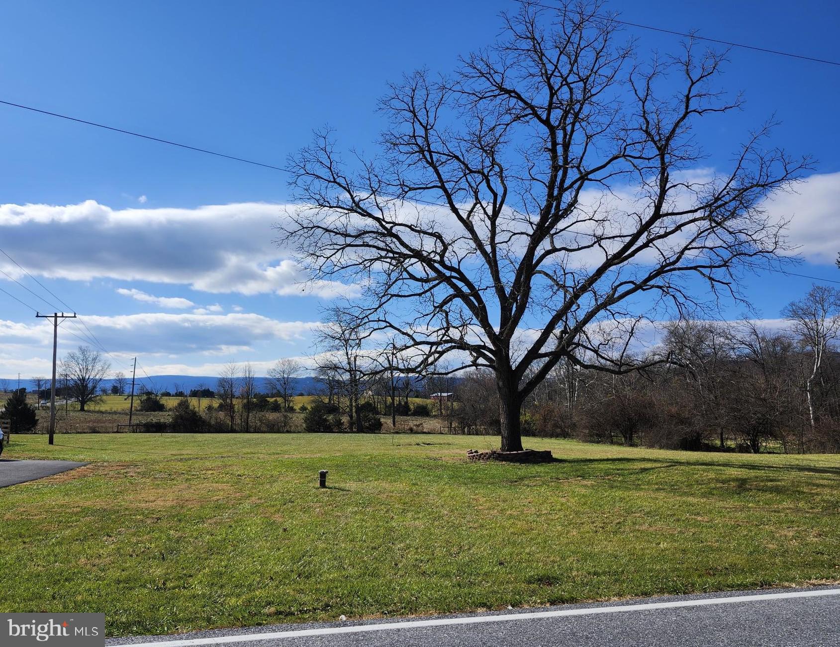 a view of yard with an trees