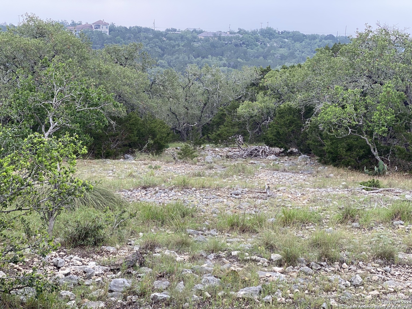 a view of a dry yard with trees in the background