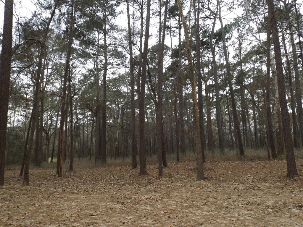 a backyard of a house with trees