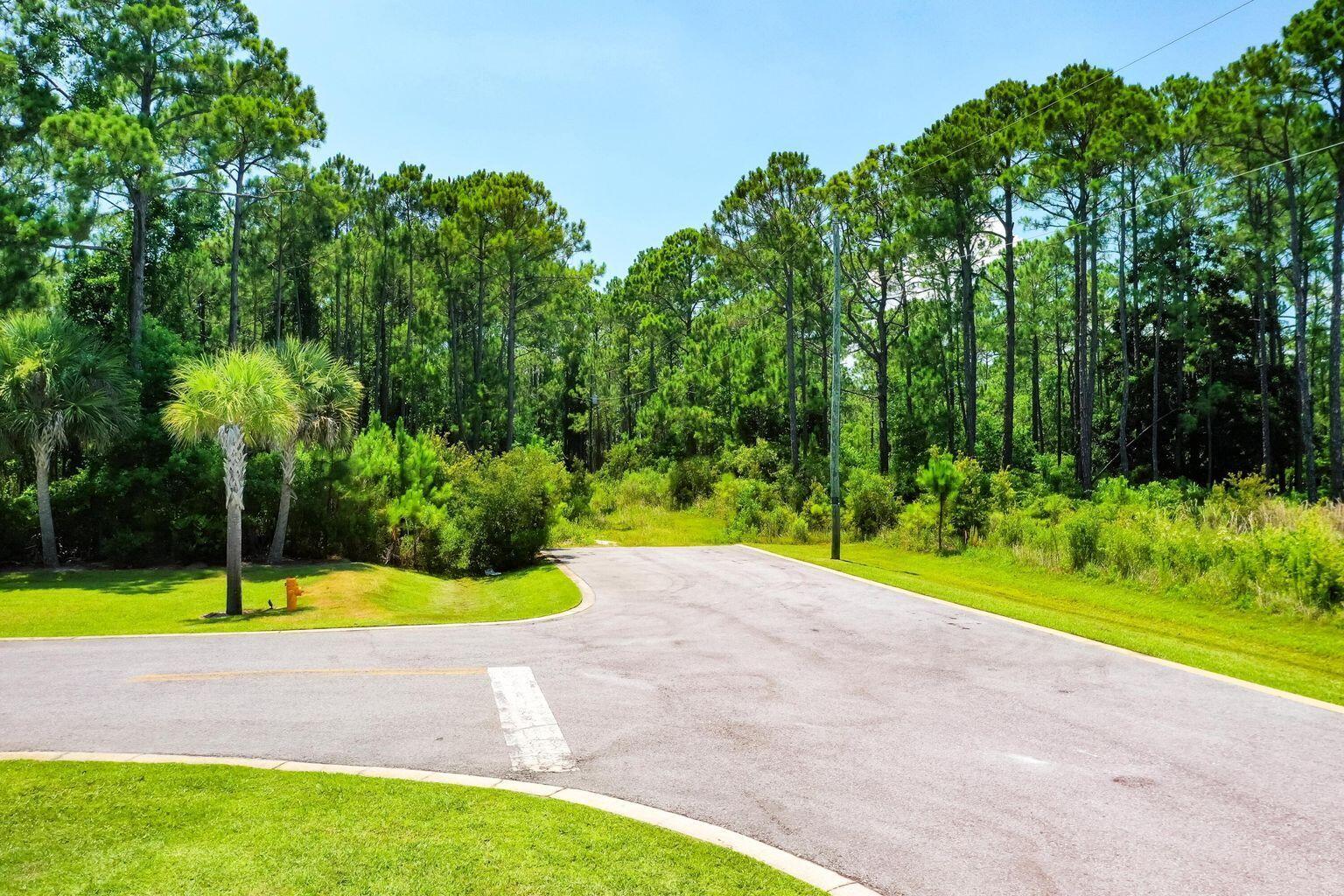 a view of a park with palm trees and entertaining space