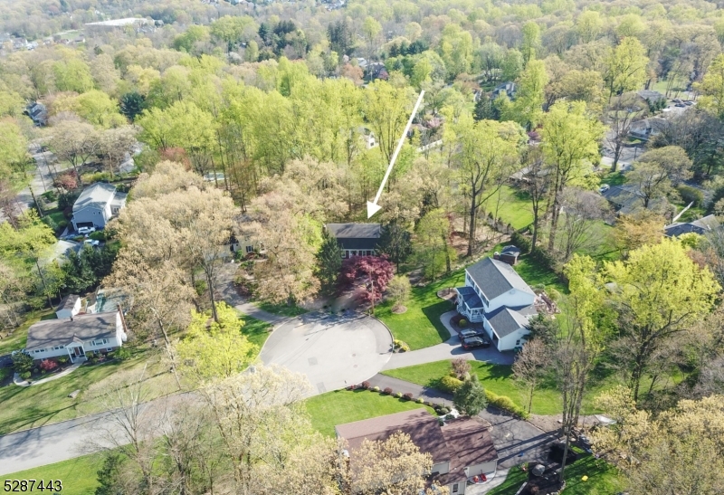 a bird view of house