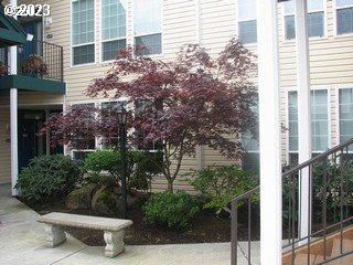 a view of a house with a yard and potted plants