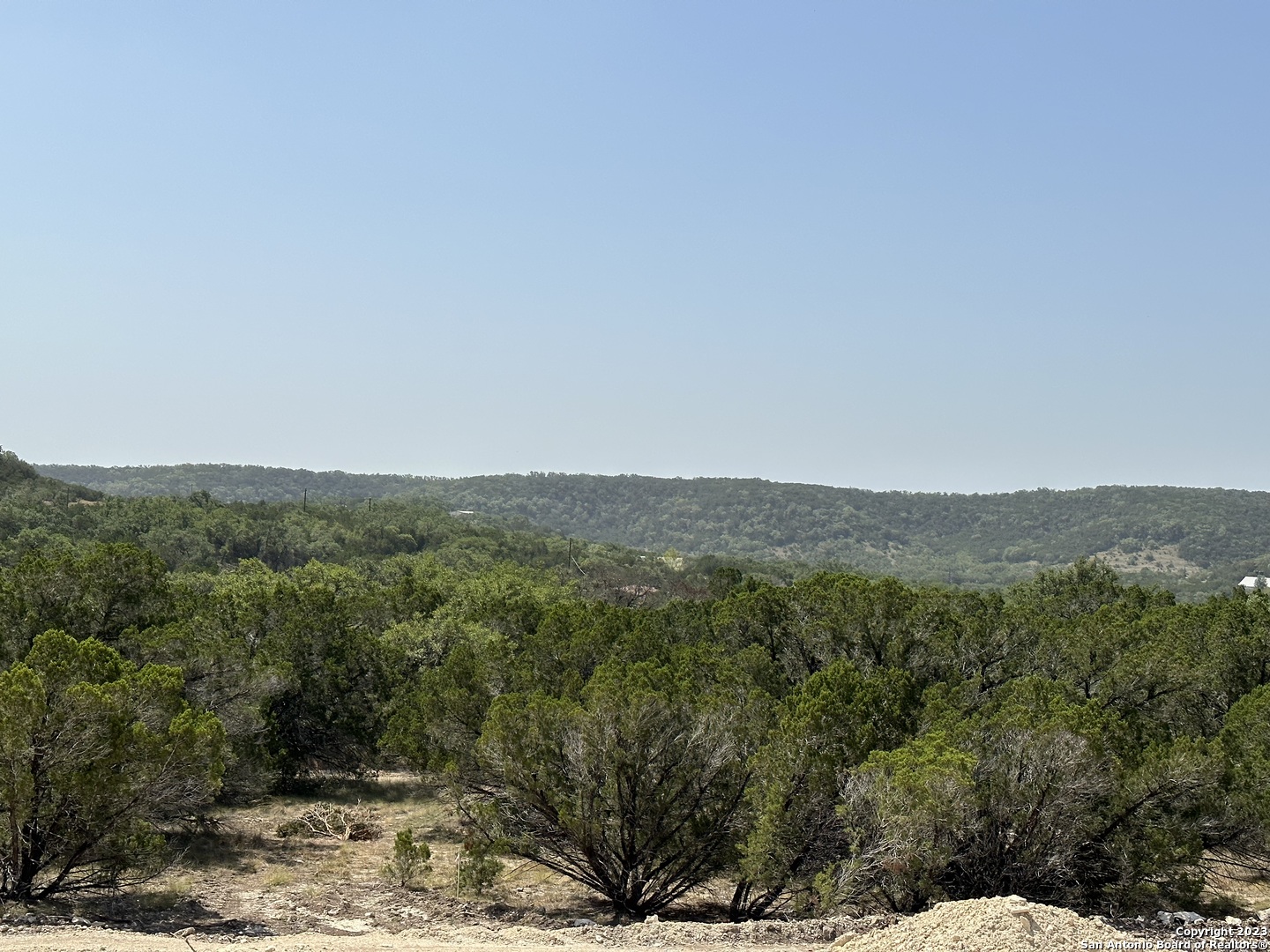 a view of a forest with mountains in the background