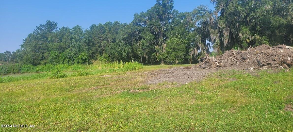 a big yard with lots of green space and deers