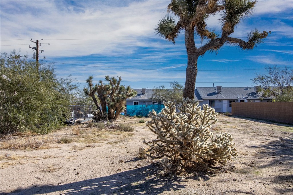 a view of a backyard of the house