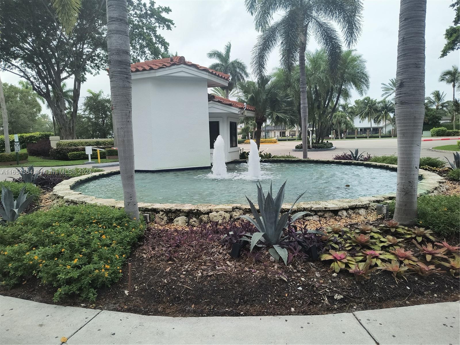 a view of a yard with plants and trees