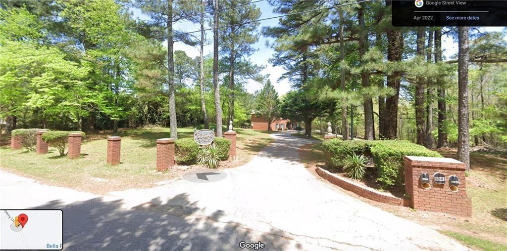 a view of a park with plants and trees