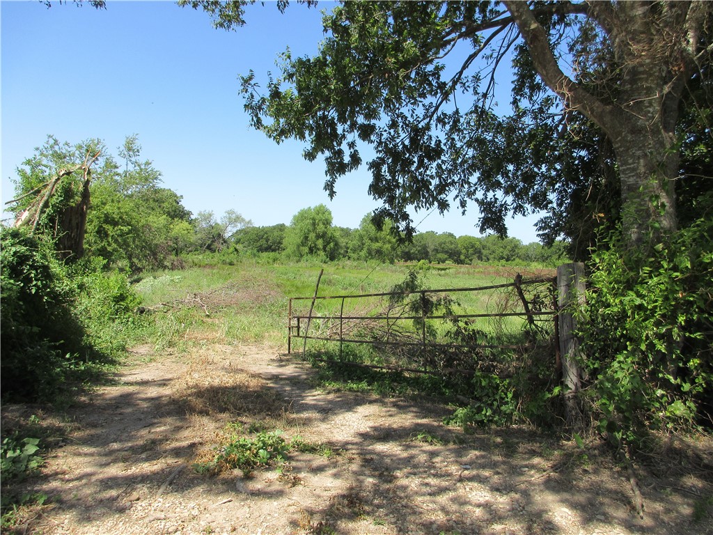 a view of a yard with wooden fence