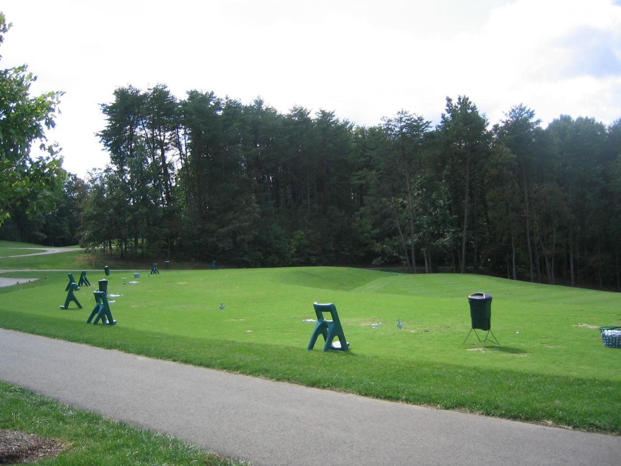 a view of a park with large trees