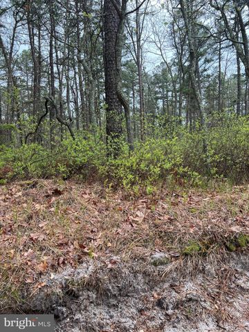 $20,000 | 0 Huckleberry Lane | Pemberton Township - Burlington County