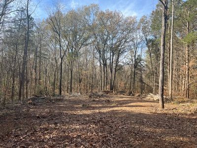 a view of outdoor space with trees