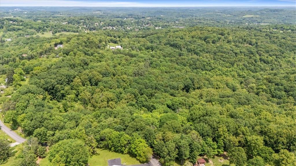 an aerial view of residential houses with outdoor space and trees