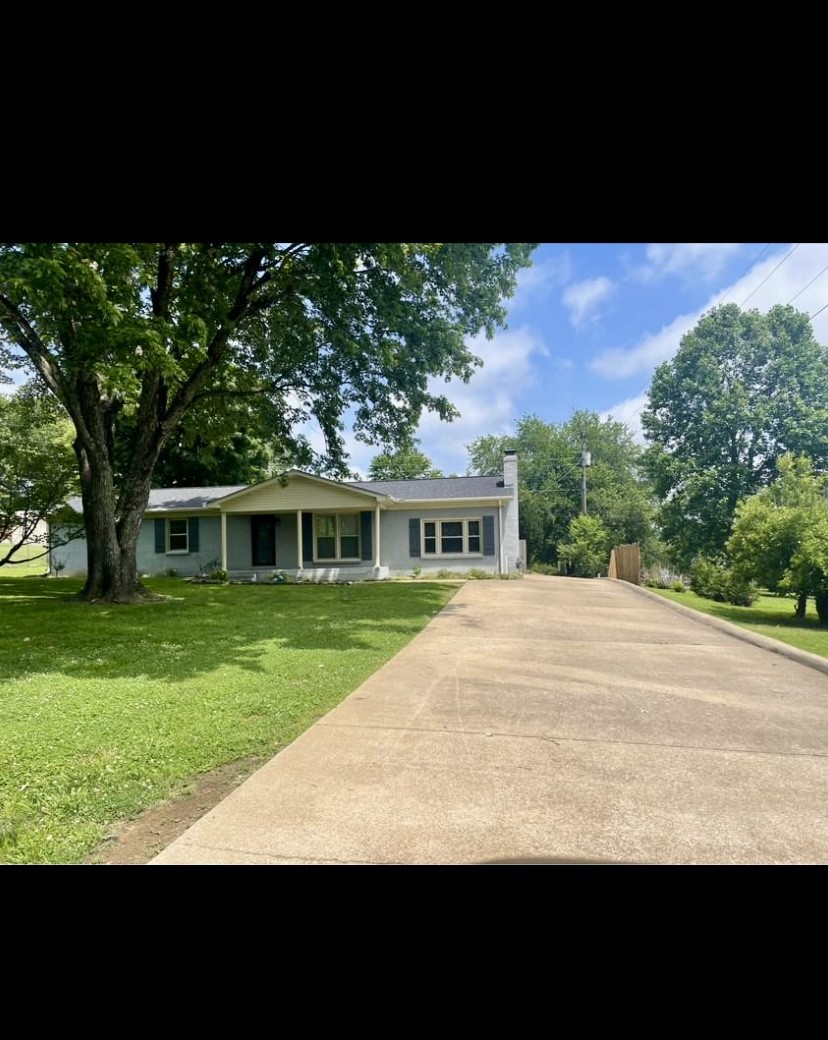 a view of a yard in front of a house with a large tree